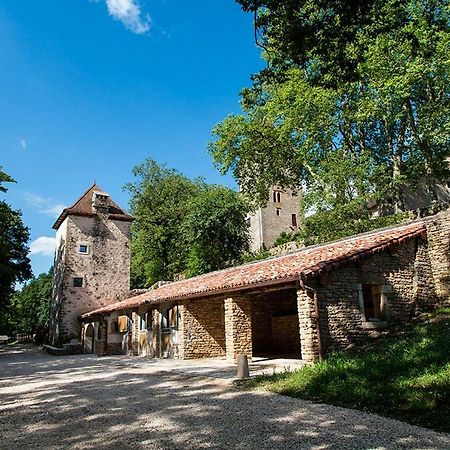 Chateau De Marigna Marigna-sur-Valouse Ngoại thất bức ảnh