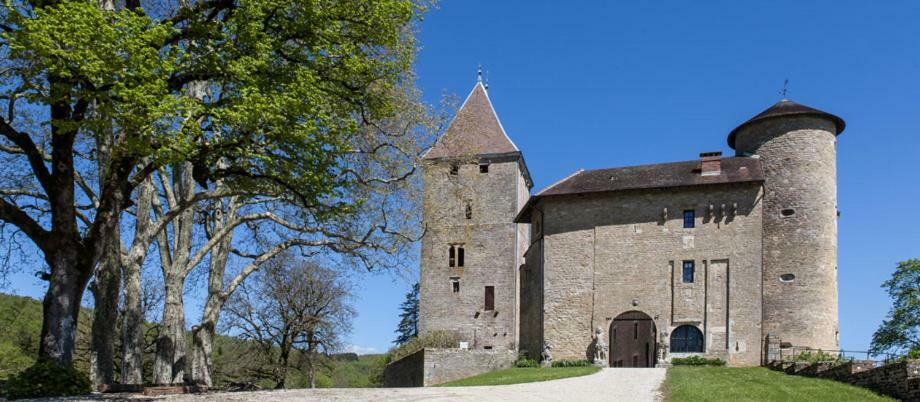 Chateau De Marigna Marigna-sur-Valouse Ngoại thất bức ảnh