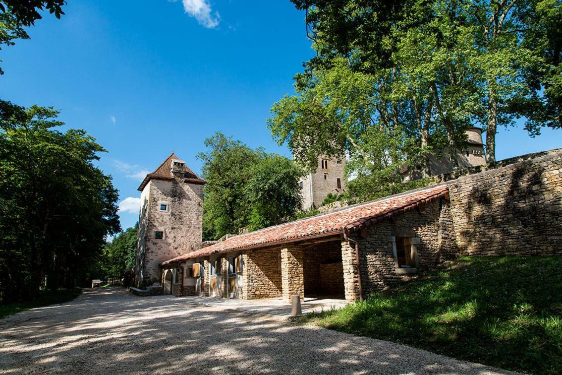 Chateau De Marigna Marigna-sur-Valouse Ngoại thất bức ảnh