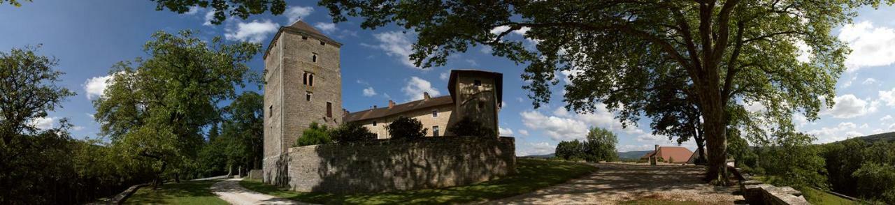 Chateau De Marigna Marigna-sur-Valouse Ngoại thất bức ảnh