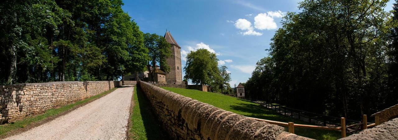 Chateau De Marigna Marigna-sur-Valouse Ngoại thất bức ảnh