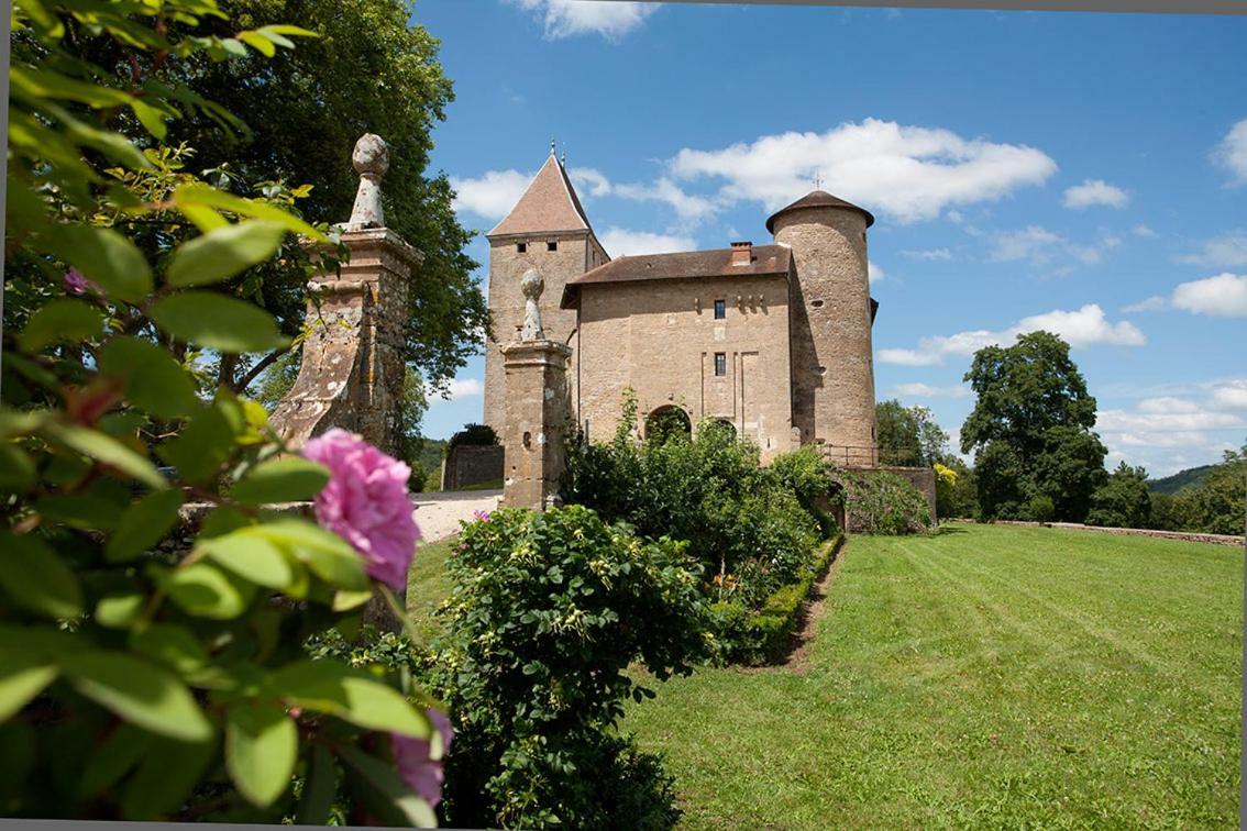 Chateau De Marigna Marigna-sur-Valouse Ngoại thất bức ảnh